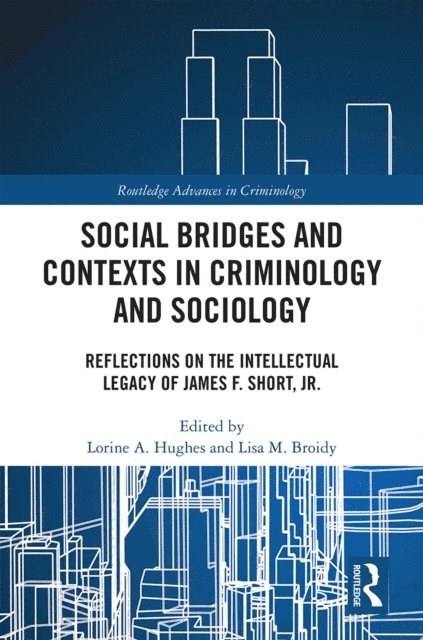 Lisa Broidy, Lorine Hughes - Social Bridges and Contexts in Criminology and Sociology, E-bok