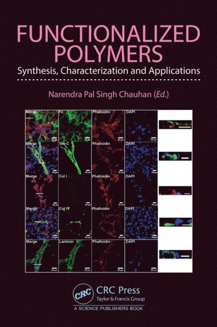Narendra Pal Singh Chauhan - Functionalized Polymers, E-bok