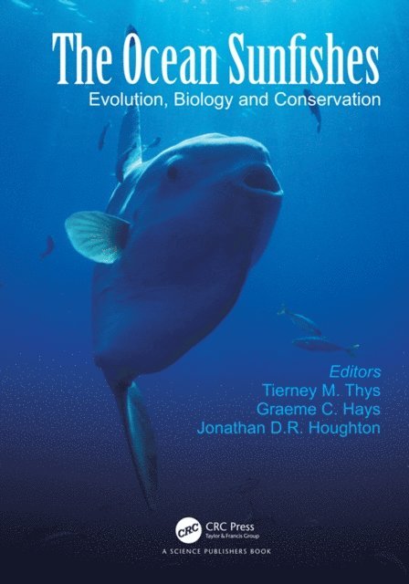 Jonathan D. R. Houghton, Graeme C. Hays, Tierney M. Thys - Ocean Sunfishes, E-bok. Tillgänglighet: Lägg i varukorg