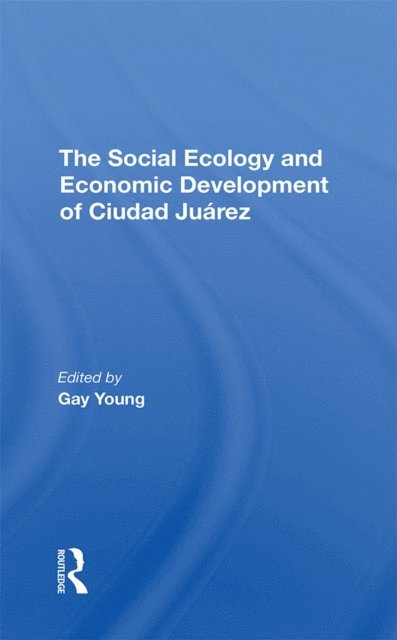 Kathleen A Staudt, Oscar J Martinez, Robert H Schmidt, Gay Young - Social Ecology And Economic Development Of Ciudad Juarez, E-bok