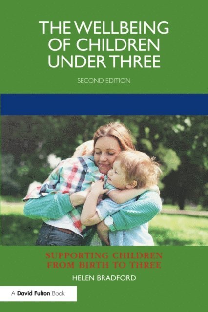 Helen Bradford - Wellbeing of Children under Three, E-bok