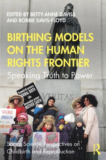 Robbie Davis-Floyd, Betty-Anne Daviss - Birthing Models on the Human Rights Frontier, E-bok