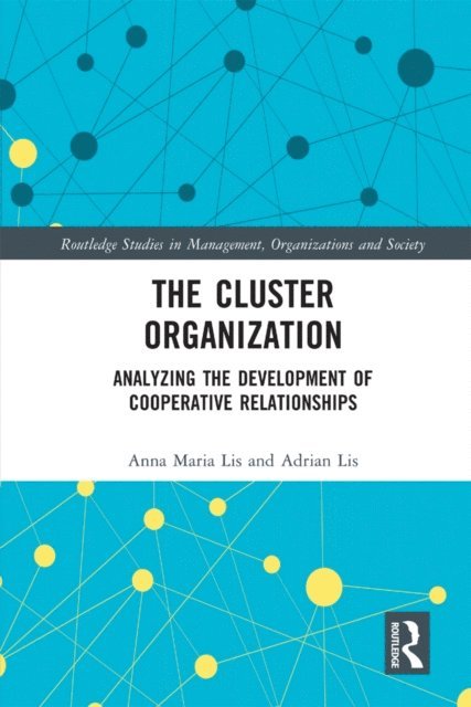 Adrian Lis, Anna Maria Lis - Cluster Organization, E-bok
