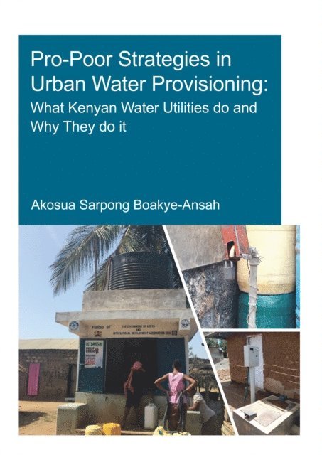 Akosua Sarpong Boakye-Ansah - Pro-Poor Strategies in Urban Water Provisioning, E-bok
