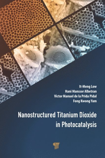 Fong Kwong Yam, Victor Manuel de la Prida Pidal, Hani Manssor Albetran, It-Meng Low - Nanostructured Titanium Dioxide in Photocatalysis, E-bok