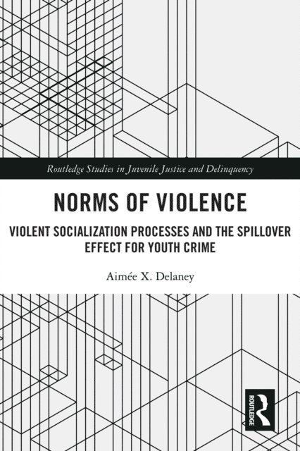 Aimee X. Delaney - Norms of Violence, E-bok