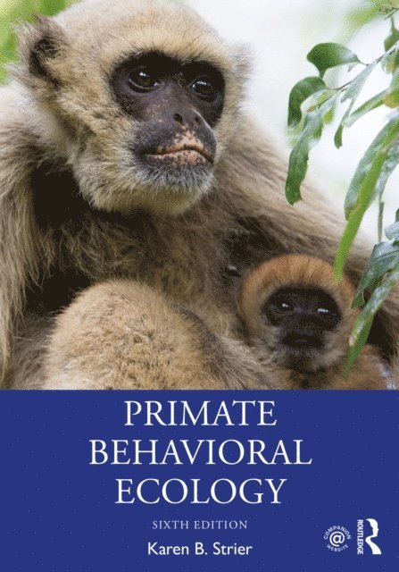 Karen B. Strier - Primate Behavioral Ecology, E-bok