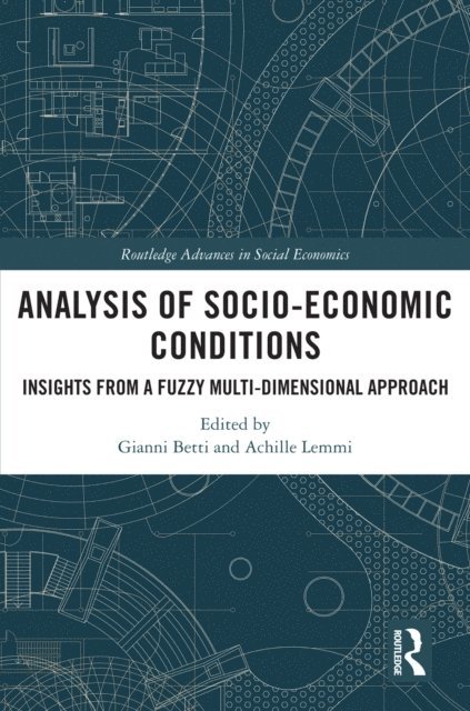 Achille Lemmi, Gianni Betti - Analysis of Socio-Economic Conditions, E-bok