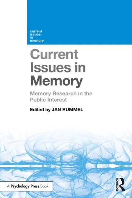 Jan Rummel - Current Issues in Memory, E-bok
