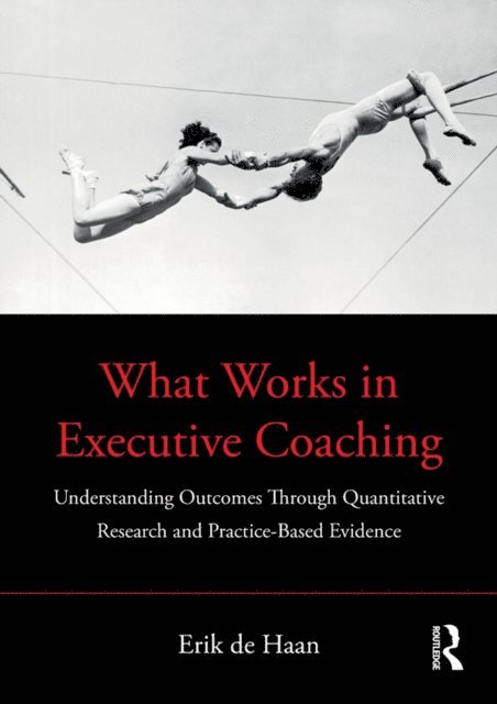 Erik de Haan - What Works in Executive Coaching, E-bok