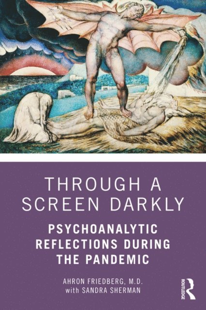 Ahron Friedberg, Sandra Sherman - Through a Screen Darkly, E-bok