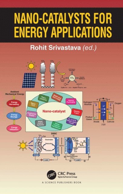 Rohit Srivastava - Nano-catalysts for Energy Applications, E-bok