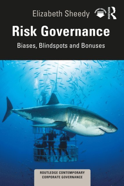 Elizabeth Sheedy - Risk Governance, E-bok