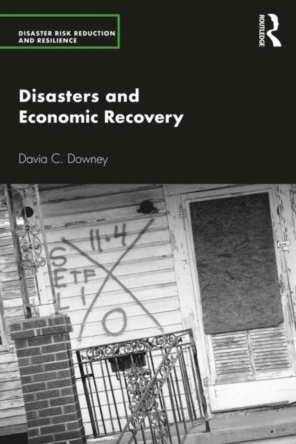 Davia C. Downey - Disasters and Economic Recovery, E-bok