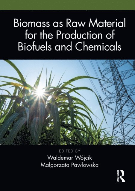 Malgorzata Pawlowska, Waldemar Wojcik - Biomass as Raw Material for the Production of Biofuels and Chemicals, E-bok