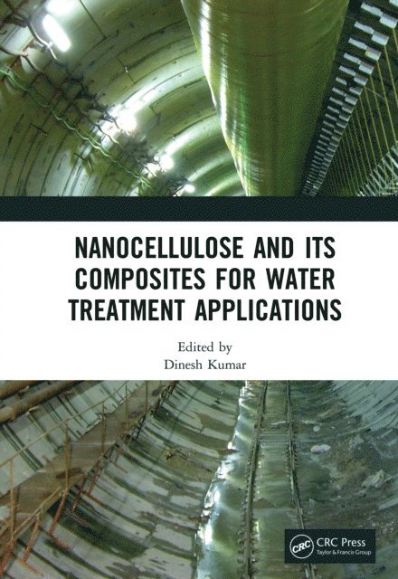 Dinesh Kumar - Nanocellulose and Its Composites for Water Treatment Applications, E-bok