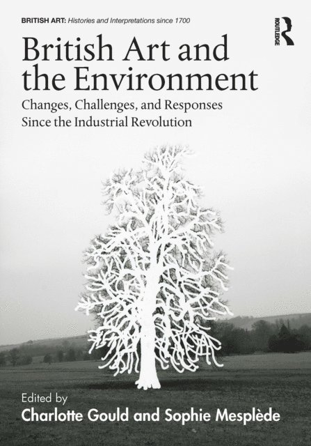 Sophie Mesplede, Charlotte Gould - British Art and the Environment, E-bok