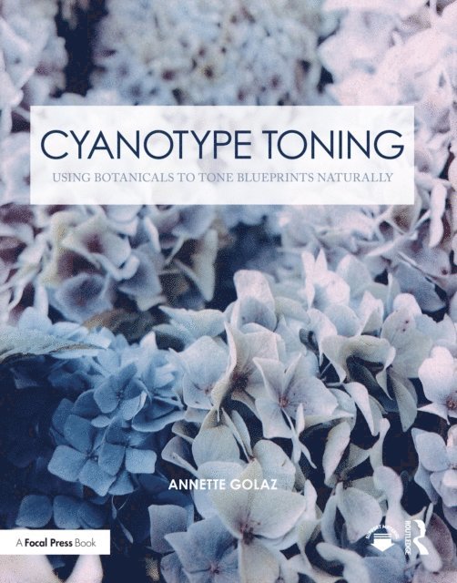Annette Golaz - Cyanotype Toning, E-bok