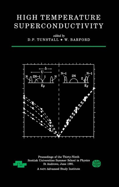 D.W Barford, D.P Tunstall - High Temperature Superconductivity, E-bok