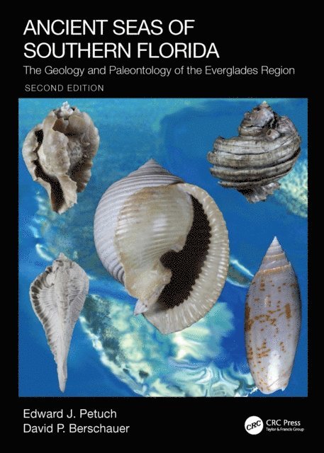 David P. Berschauer, Edward J. Petuch - Ancient Seas of Southern Florida, E-bok
