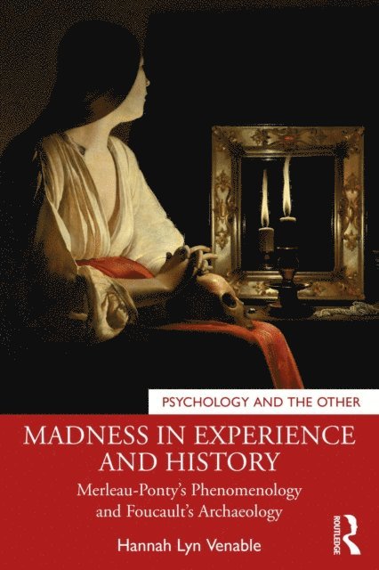 Hannah Lyn Venable - Madness in Experience and History, E-bok