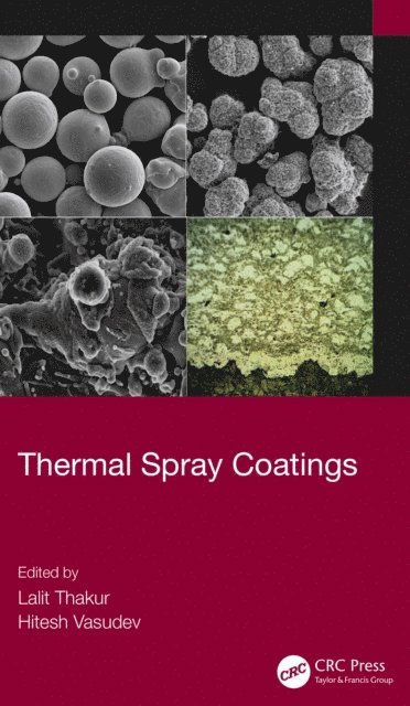 Hitesh Vasudev, Lalit Thakur - Thermal Spray Coatings, E-bok