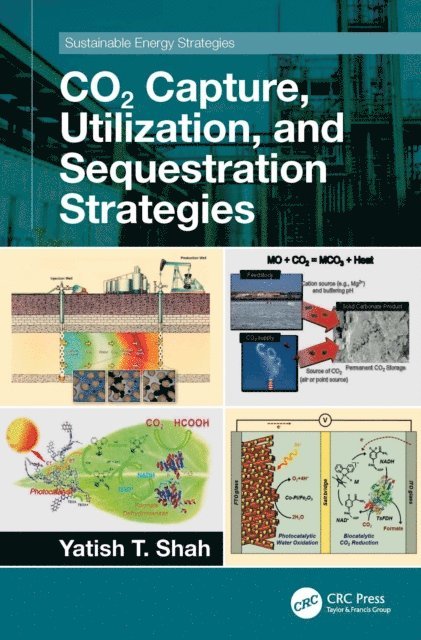Yatish T. Shah - CO2 Capture, Utilization, and Sequestration Strategies, E-bok