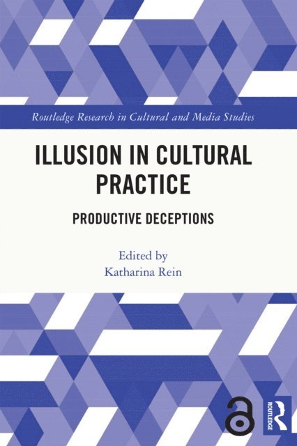 Katharina Rein - Illusion in Cultural Practice, E-bok