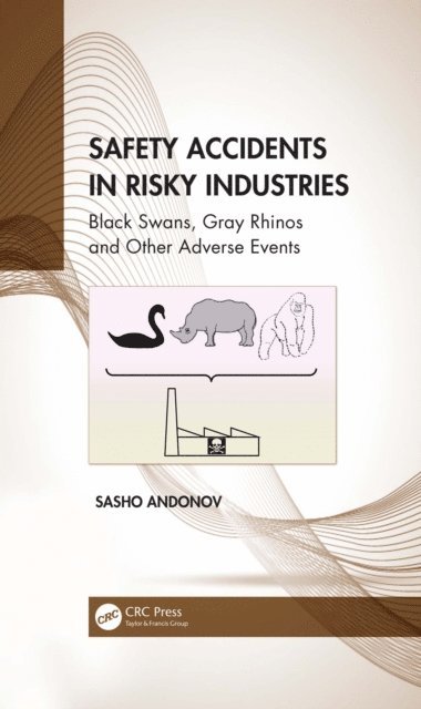 Sasho Andonov - Safety Accidents in Risky Industries, E-bok. Tillgänglighet: Lägg i varukorg