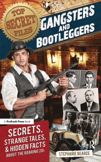 Stephanie Bearce - Top Secret Files, E-bok