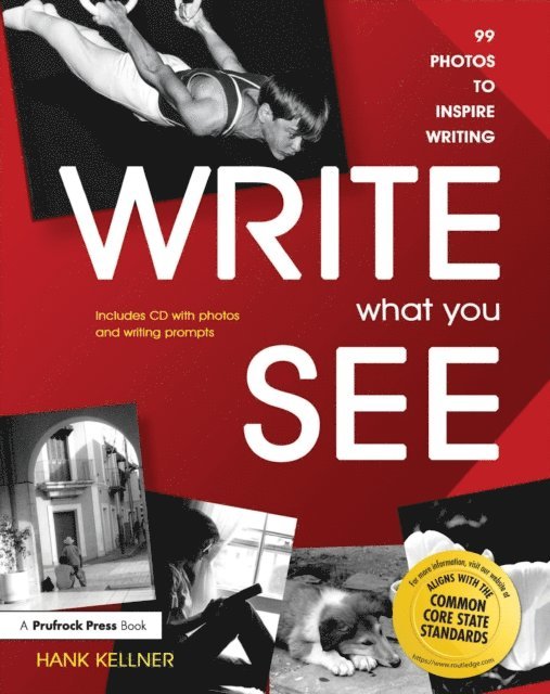 Hank Kellner - Write What You See, E-bok