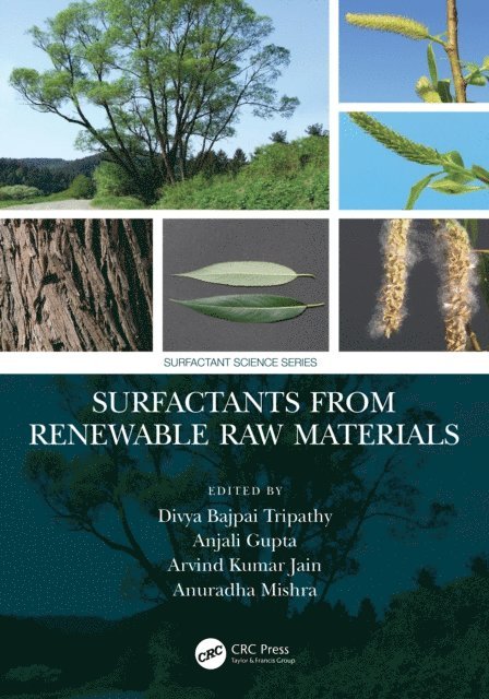 Anuradha Mishra, Arvind Kumar Jain, Anjali Gupta, Divya Bajpai Tripathy - Surfactants from Renewable Raw Materials, E-bok