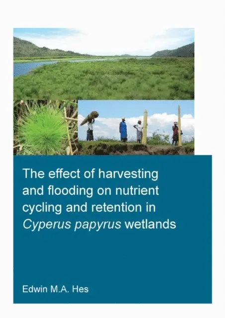 effect of harvesting and flooding on nutrient cycling and retention in Cyperus papyrus wetlands