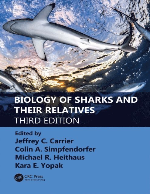 Kara E. Yopak, Michael R. Heithaus, Colin A. Simpfendorfer, Jeffrey C. Carrier - Biology of Sharks and Their Relatives, E-bok