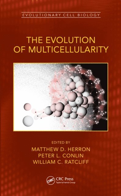 William C. Ratcliff, Peter L. Conlin, Matthew D. Herron - Evolution of Multicellularity, E-bok