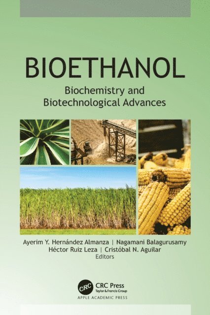 Cristobal N. Aguilar, Hector Ruiz Leza, Nagamani Balagurusamy, Ayerim Y. Hernandez Almanza - Bioethanol, E-bok