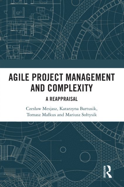 Mariusz Soltysik, Tomasz Malkus, Katarzyna Bartusik, Czeslaw Mesjasz - Agile Project Management and Complexity, E-bok