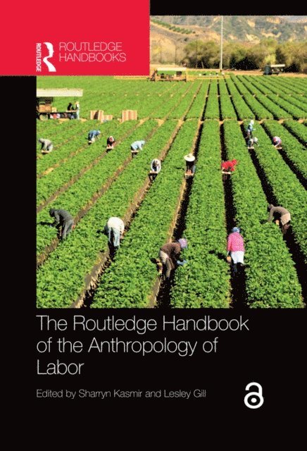 Lesley Gill, Sharryn Kasmir - Routledge Handbook of the Anthropology of Labor, E-bok