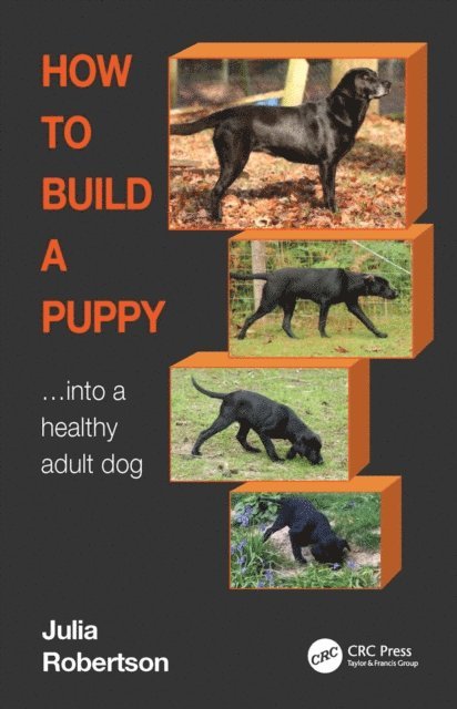 Julia Robertson - How to Build a Puppy, E-bok