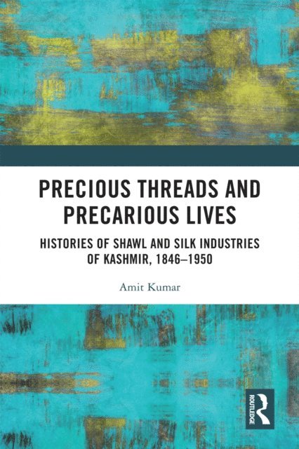 Amit Kumar - Precious Threads and Precarious Lives, E-bok