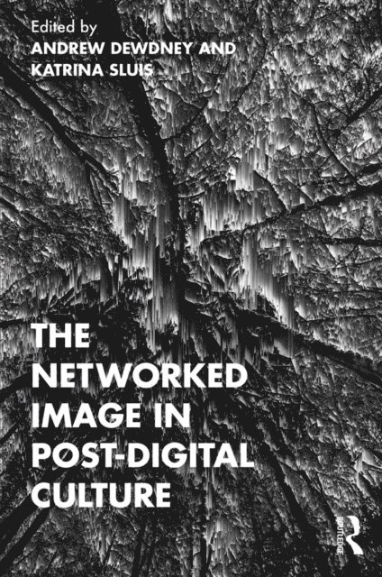 Katrina Sluis, Andrew Dewdney - Networked Image in Post-Digital Culture, E-bok