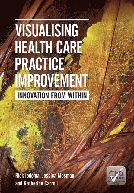 Katherine Carroll, Jessica Mesman, Rick Iedema - Visualising Health Care Practice Improvement, E-bok