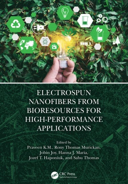 Sabu Thomas, Jozef T. Haponiuk, Hanna J. Maria, Jobin Joy, Rony Thomas Murickan, Praveen K.M. - Electrospun Nanofibers from Bioresources for High-Performance Applications, E-bok