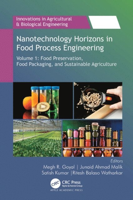 Ritesh B. Watharkar, Satish Kumar, Junaid Ahmad Malik, Megh R. Goyal - Nanotechnology Horizons in Food Process Engineering, E-bok