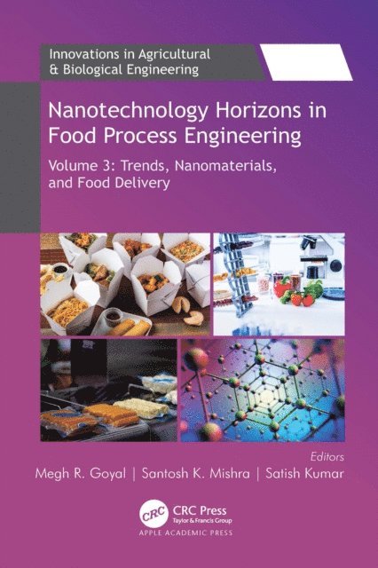 Satish Kumar, Santosh K. Mishra, Megh R. Goyal - Nanotechnology Horizons in Food Process Engineering, E-bok