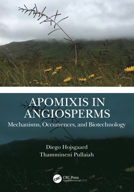 Thammineni Pullaiah, Diego Hojsgaard - Apomixis in Angiosperms, E-bok