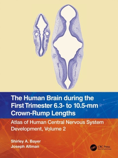 Joseph Altman, Shirley A. Bayer - Human Brain during the First Trimester 6.3- to 10.5-mm Crown-Rump Lengths, E-bok