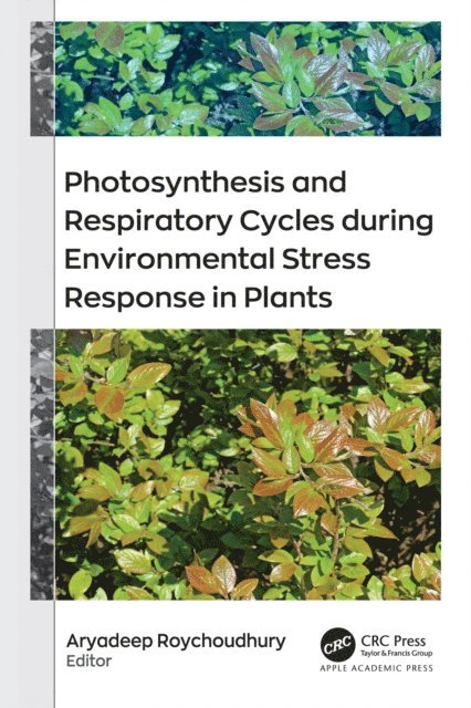 Aryadeep Roychoudhury - Photosynthesis and Respiratory Cycles during Environmental Stress Response in Plants, E-bok
