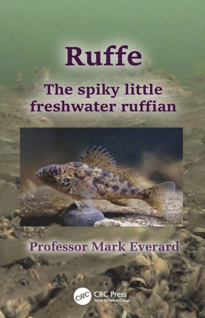 Mark Everard - Ruffe, E-bok