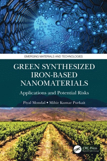 Mihir Kumar Purkait, Piyal Mondal - Green Synthesized Iron-based Nanomaterials, E-bok